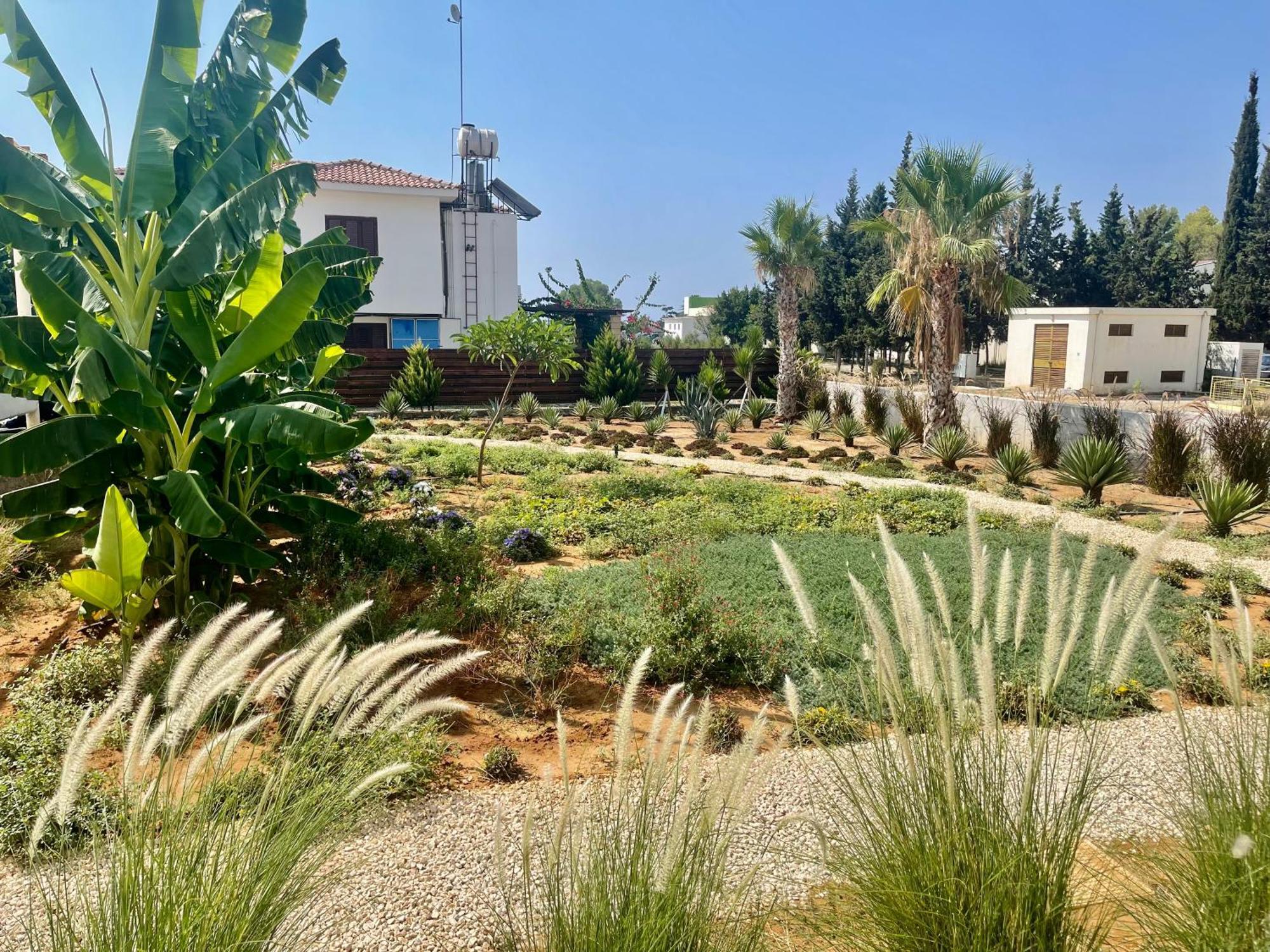 Sea View Suites By The Coast Famagusta  Exteriör bild